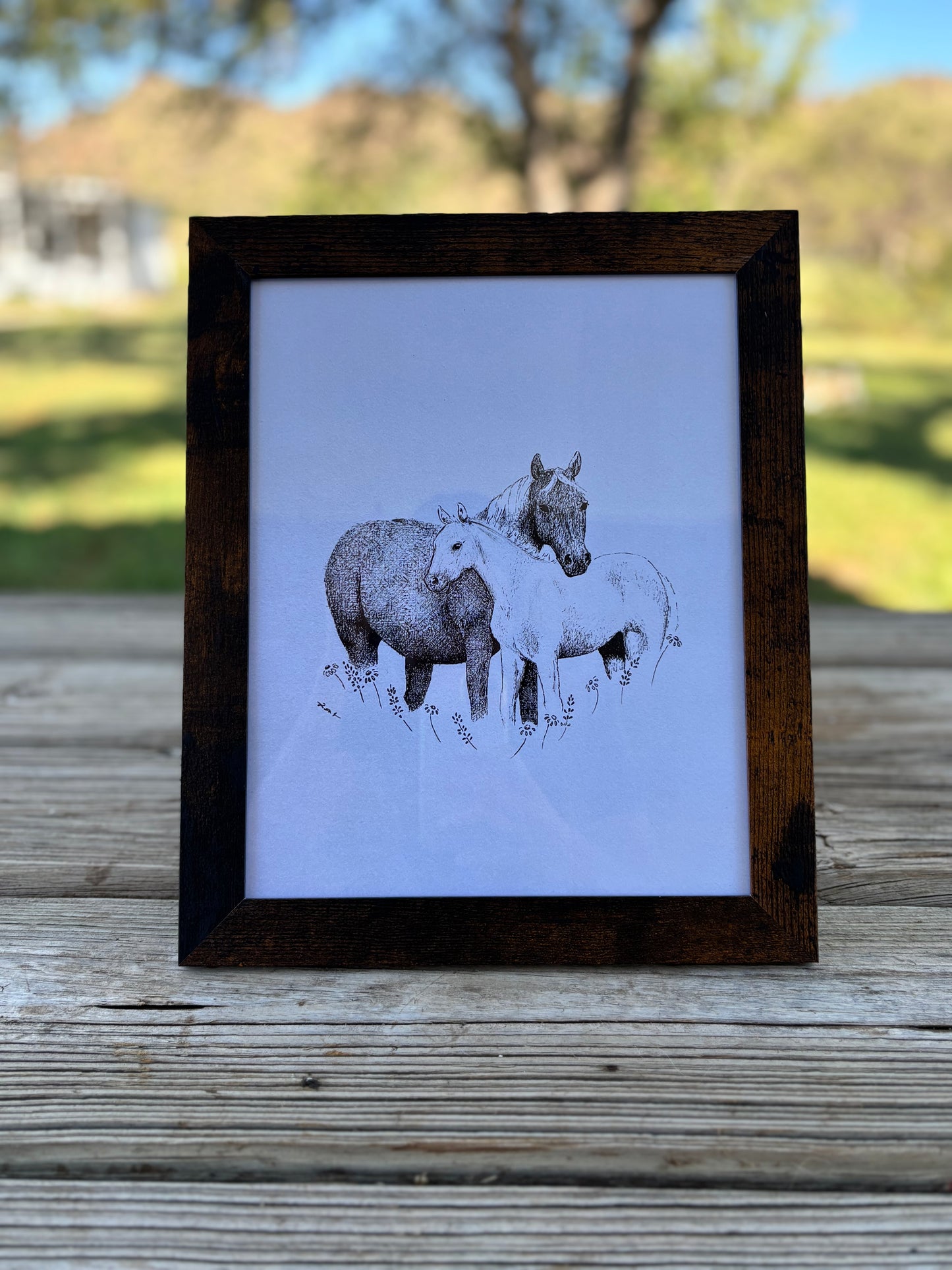 Mare & Foal 8x10