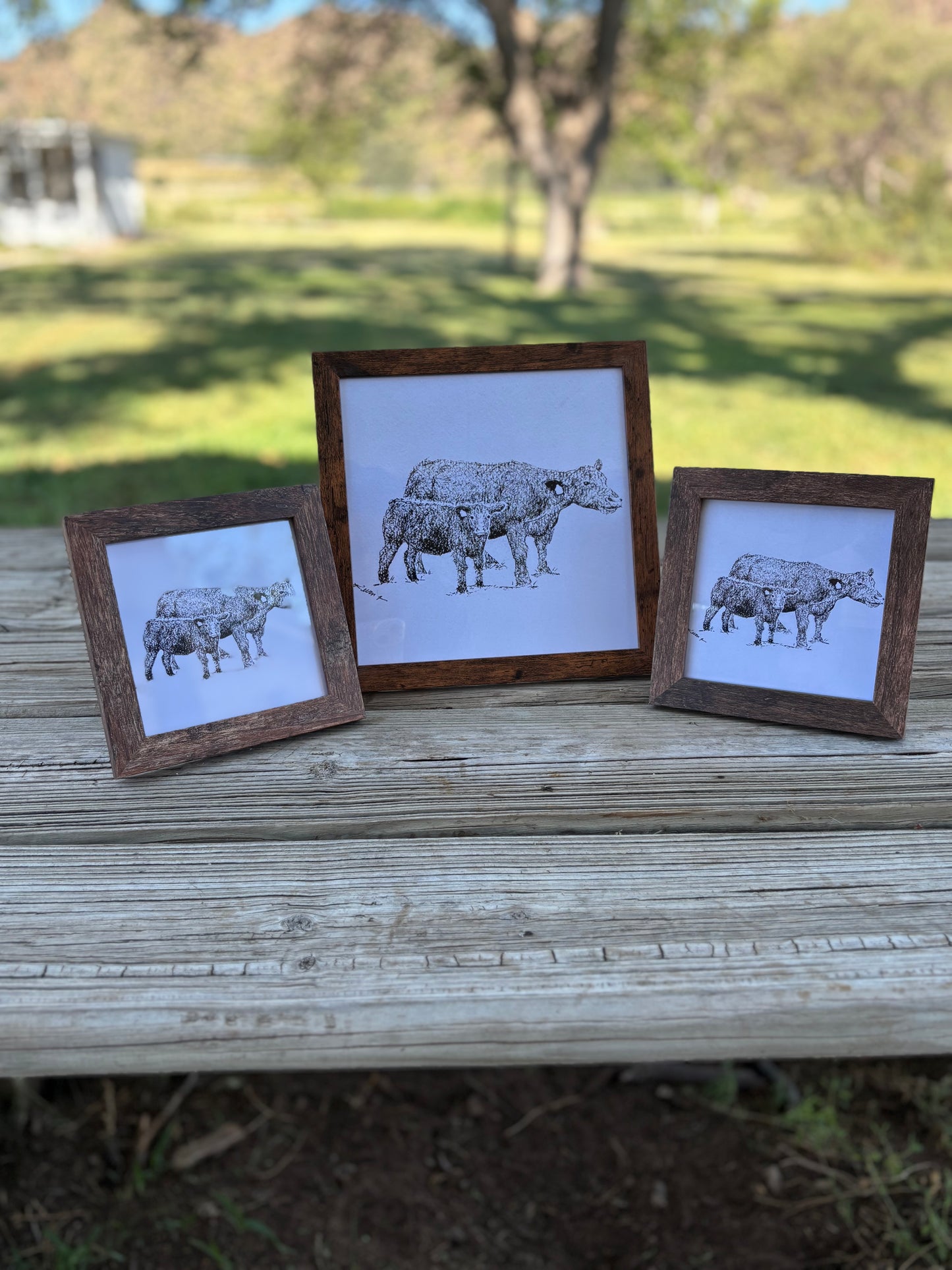 Cow & Calf 5x5